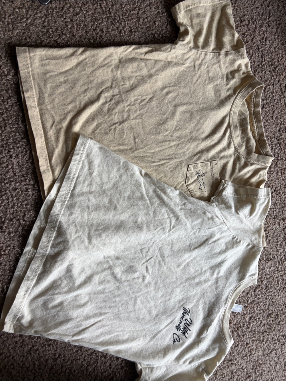 B21 lot of 2 5/6t Cardin McCoy and Wild Threads Co SS Tees